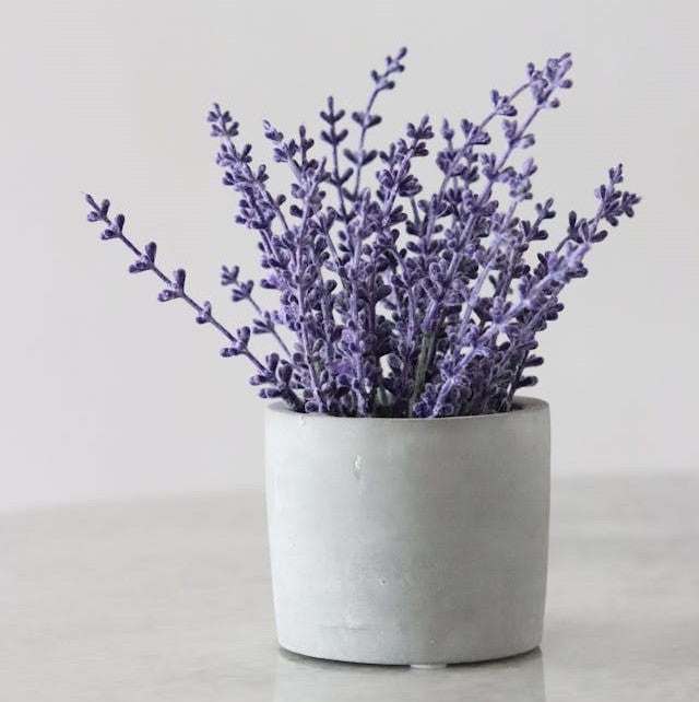 Lavender and Ylang Ylang Candle